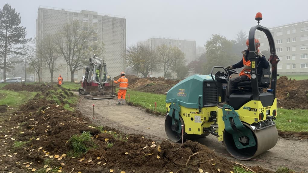 POITIERS : 200 ARBRES POUR TRANSFORMER LA PLAINE DE COUBERTIN AUX COURONNERIES